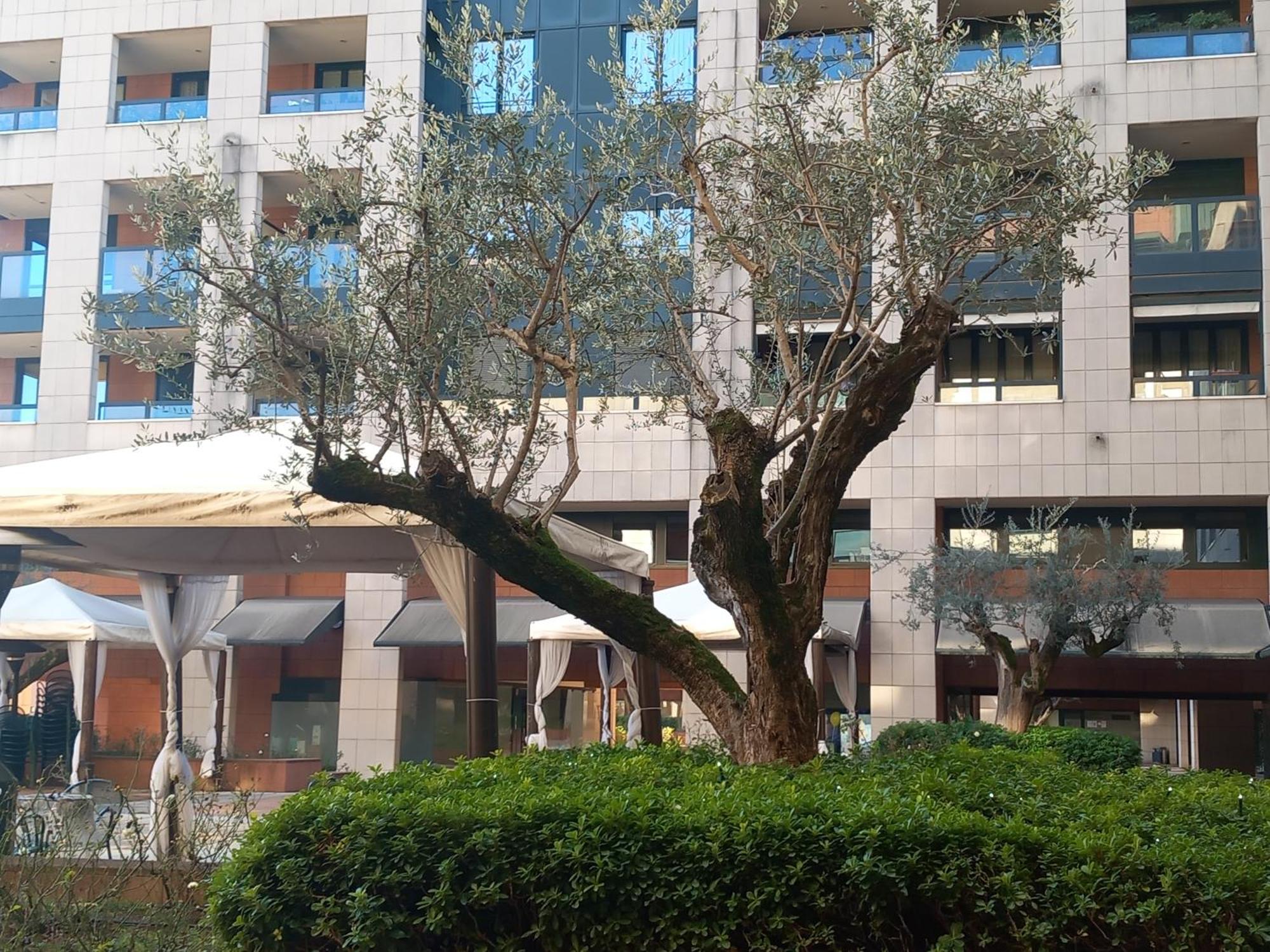 Bilocale Con Terrazzo E Box Auto Su Richiesta Διαμέρισμα Όπως Εξωτερικό φωτογραφία